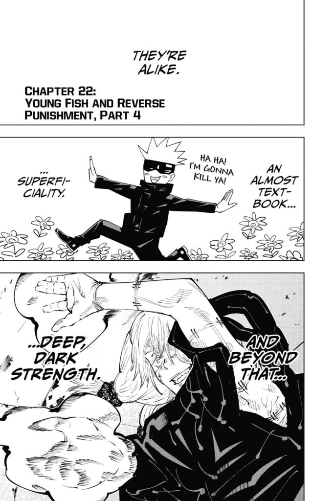 Jujutsu Kaisen (jjk)
