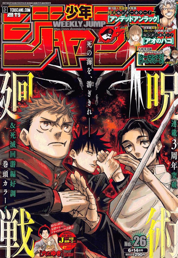 Jujutsu Kaisen

