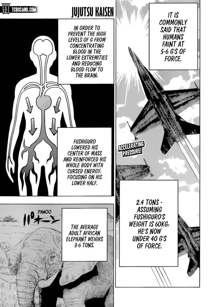 Jujutsu Kaisen 
